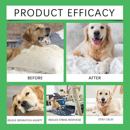 Canine Serenity Calming Diffuser